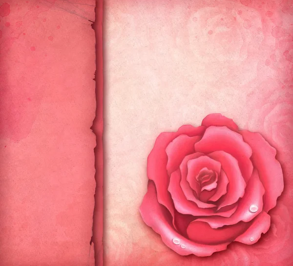 Cartão com ilustração de rosa rosa — Fotografia de Stock
