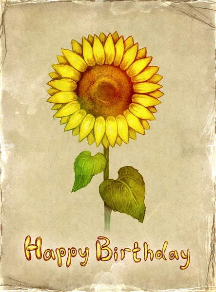 Tarjeta de cumpleaños con dibujo de girasol — Foto de Stock