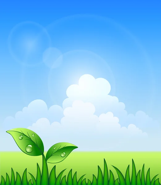 Vector illustration of meadow — Stock Vector