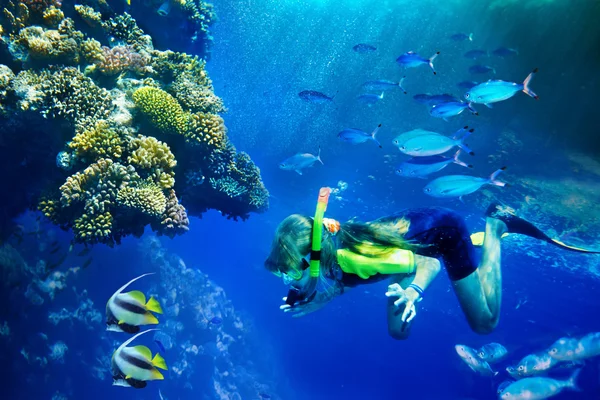 Grupp av korall fisk i blått vatten. — Stockfoto