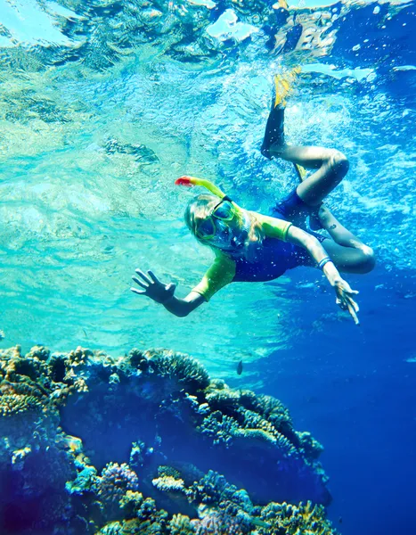 Groupe de poissons coralliens en eau bleue . — Photo