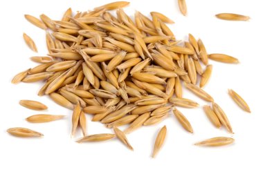 Oat grains clipart