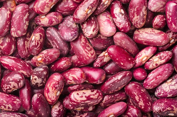 stock image Kidney beans