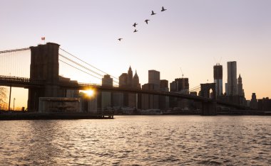 Brooklyn Bridge towards lower manhattan clipart