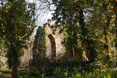 Old ruined castle in woods clipart
