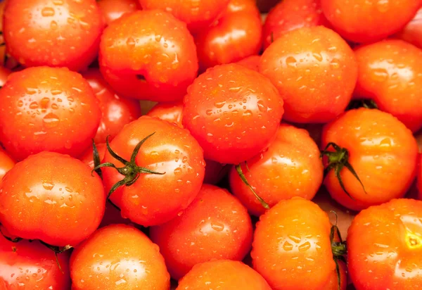 Ripe tomatoes at market wet with rain — Stock Photo, Image