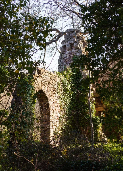 Old ruined castle in woods — Stock Photo, Image