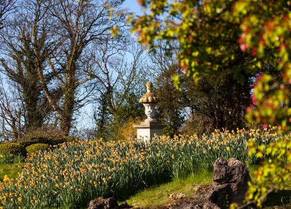 Påskliljor omger trädgården staty i lantlig miljö — Stockfoto