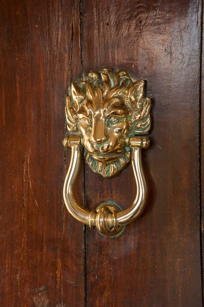 Aslan kapı tokmağı eski ahşap kapı üzerinde kafa. — Stok fotoğraf
