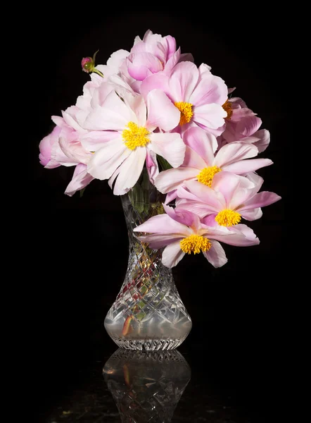 Flower arrangement of Peonies — Stock Photo, Image