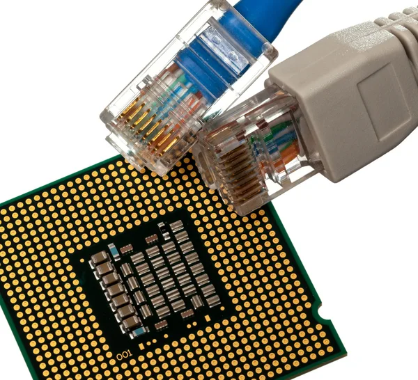 Cabos Cat 5 em várias cores com CPU — Fotografia de Stock