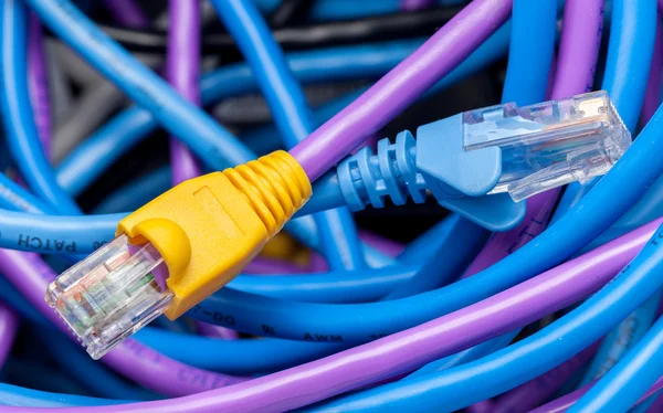 Cat 5 cables in multiple colors — Stock Photo, Image