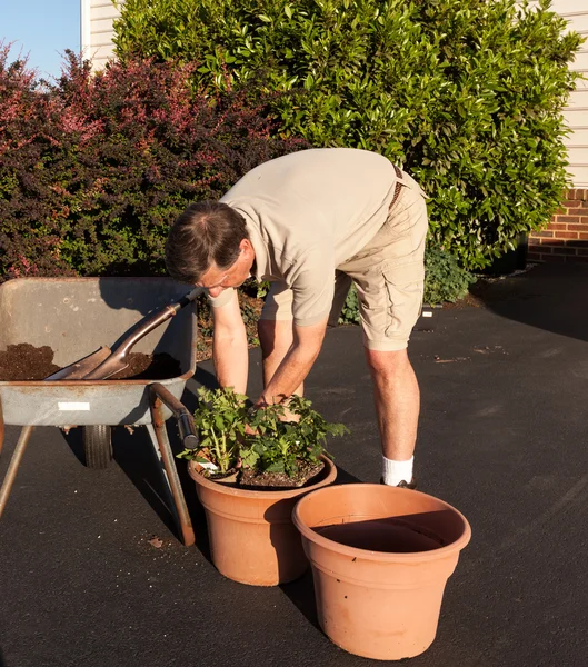 Senior man graven bodem in kruiwagen — Stockfoto