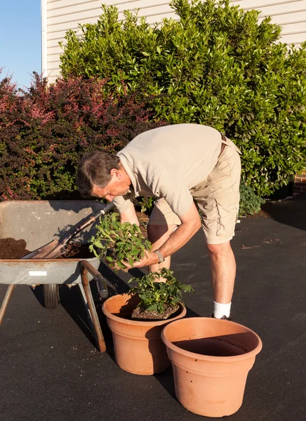 Senior man digging soil in wheelbarrow — Stock Photo, Image