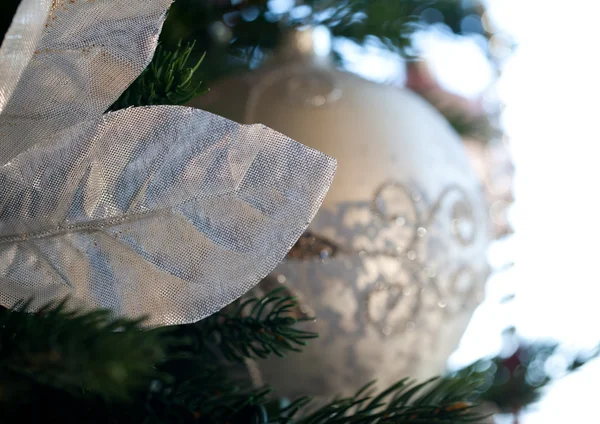 家に飾られたクリスマスツリー — ストック写真