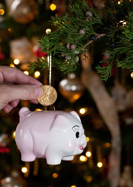 Piggy bank como decoração xmas — Fotografia de Stock