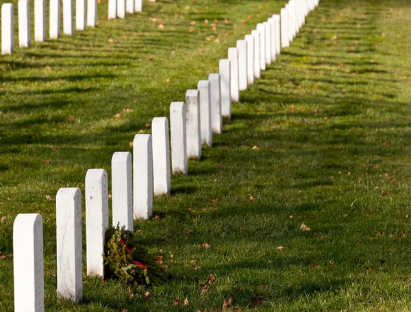 Xmas-kranser på Arlington kirkegård – stockfoto