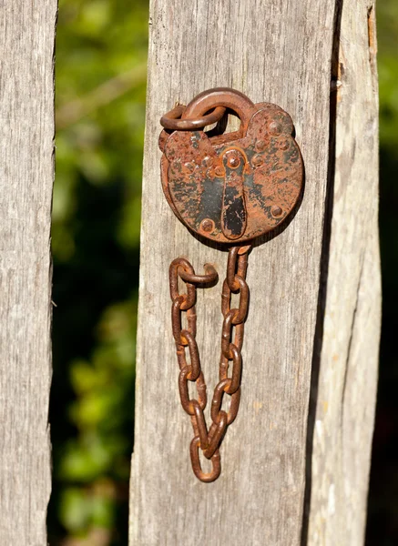 Starožitný zámek a řetězu na dřevo — Stock fotografie