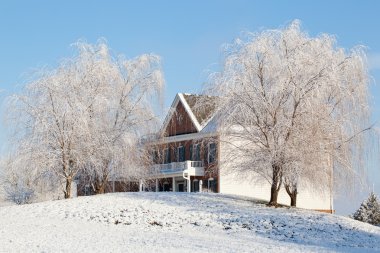 Weeping willows frame modern house clipart