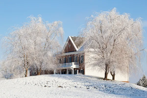 Ağlayan willows çerçeve modern ev — Stok fotoğraf