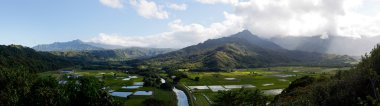 Hanalei'deki Vadisi Kauai Panoraması