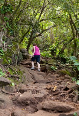 Kalalau iz Kauai hiking kız