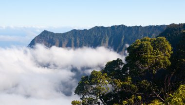 Fog forms on Kalalau valley Kauai clipart