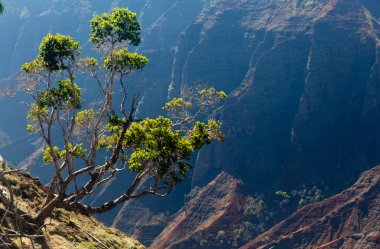 Kauai Waimea Kanyonu