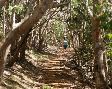 kadın ormanda Kauai hiking