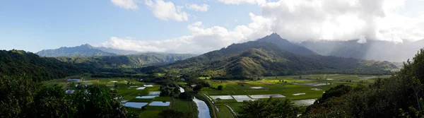 Panorama del valle de Hanalei en Kauai —  Fotos de Stock