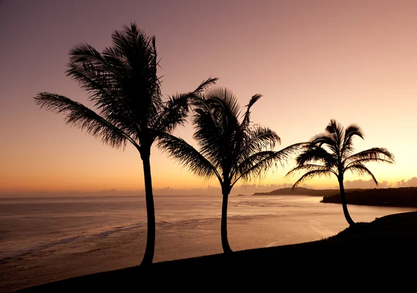Zonsopgang in kauai — Stockfoto