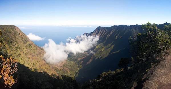 雾形式上卡拉劳谷考艾岛 — 图库照片