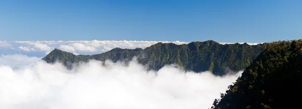 Formation de brouillard sur la vallée de Kalalau Kauai — Photo