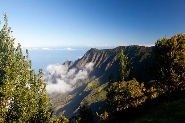 Formas de niebla en el valle del Kalalau Kauai — Foto de Stock