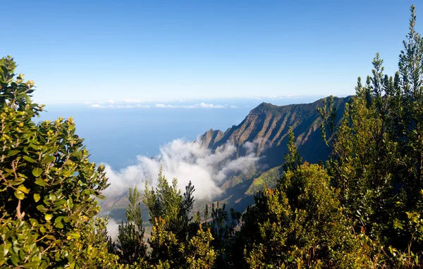 Forme di nebbia sulla valle di Kalalau Kauai — Foto Stock