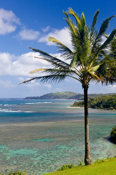 Albergue y playa de anini en Kauai — Foto de Stock