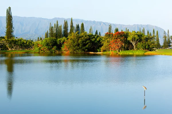 Na pali dağ ve göl — Stok fotoğraf