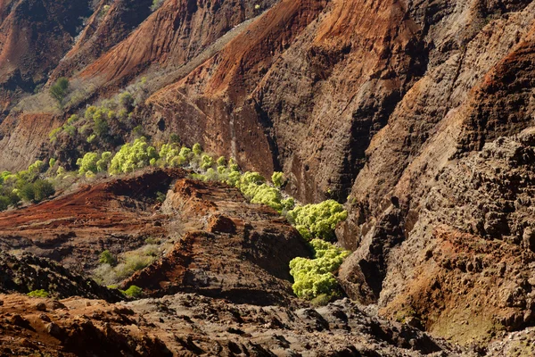 Waimea canyon auf kauai — Stockfoto