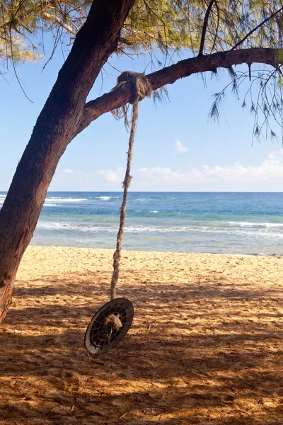 Rope swing on beach by ocean — Stock Photo, Image