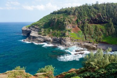 kilauea, kuş sanctuary