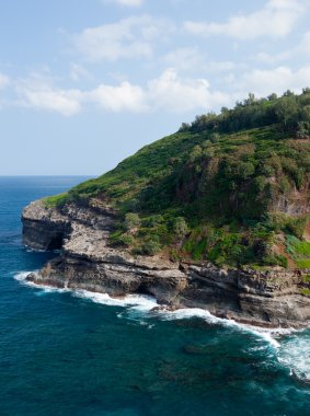 kilauea, kuş sanctuary