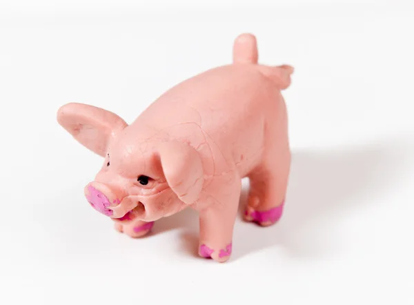 Stock image Small wrinkled plastic pig in macro