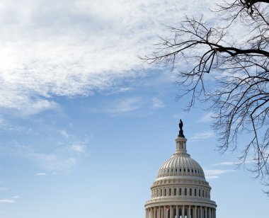 capitol bir kubbe gökyüzü ile washington dc