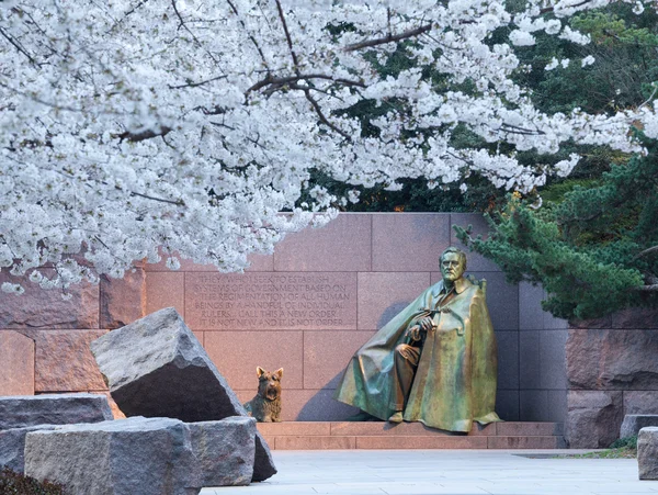 Flores de cerezo y monumento a Washington FDR — Foto de Stock