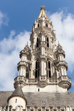 Tower of Brussels City Hall in telephoto shot clipart