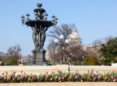 Bartholdi Fountain and Capitol dome clipart