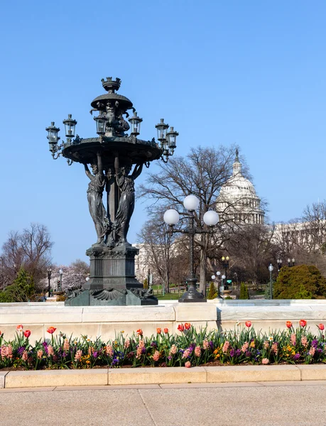 Fontaine Bartholdi et dôme du Capitole — Photo