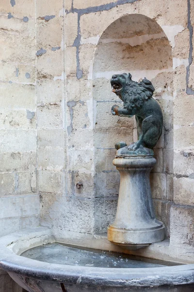 市庁舎の壁でライオン飲む噴水 — ストック写真