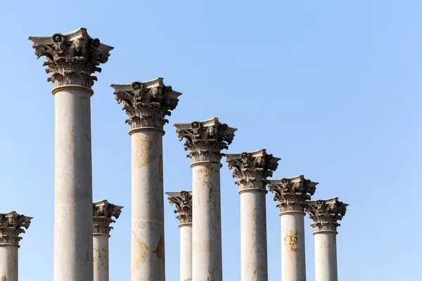 Columnas del Capitolio en el Arboreto Nacional DC Imagen De Stock