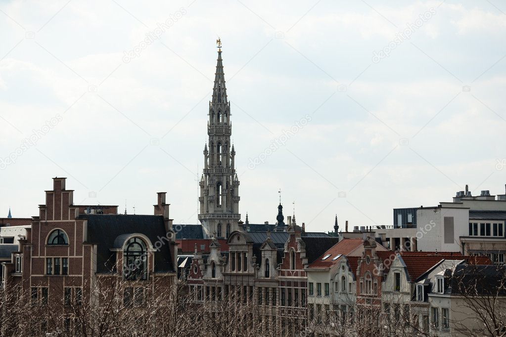 Brussels City Hall tower over buildings
